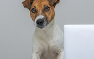 IL DISCLAIMER NELLE MAIL